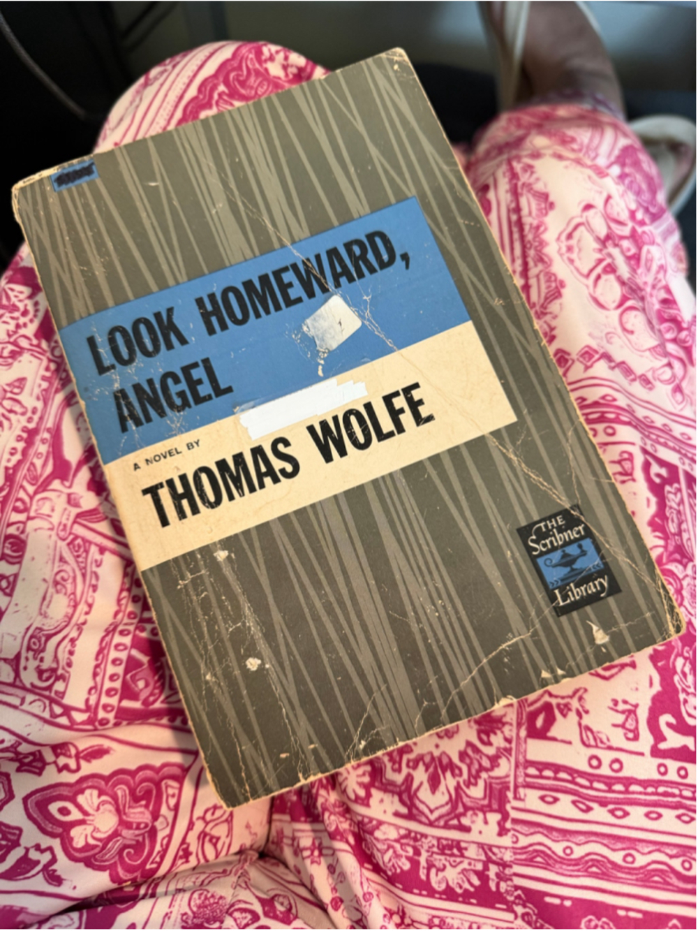 Look Homeward, Angel by Thomas Wolfe, Scribner Library Edition, Vintage Reads